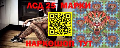 молекула духа Бердск