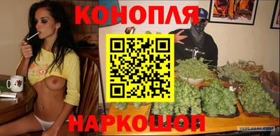 молекула духа Бердск