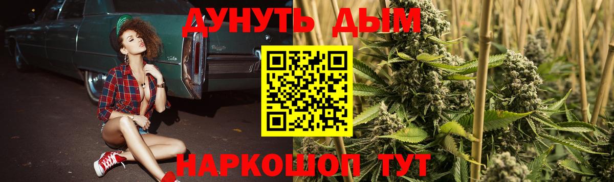 Шишки марихуана SATIVA & INDICA  Вход с VPN  Бошки Шишки тримм  Бошки Шишки Bruce Banner  Пермь  Бошки Шишки ГИДРОПОН 